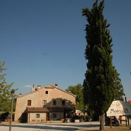 Molenda B&B Città di Castello Exterior foto